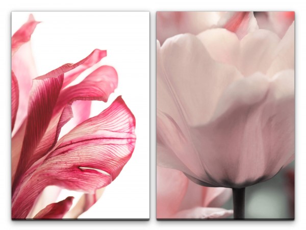 Paul Sinus Art 2 Bilder je 60x90cm Blüten Blumen Tulpe Orchidee Rot Weiß Makrofotografie