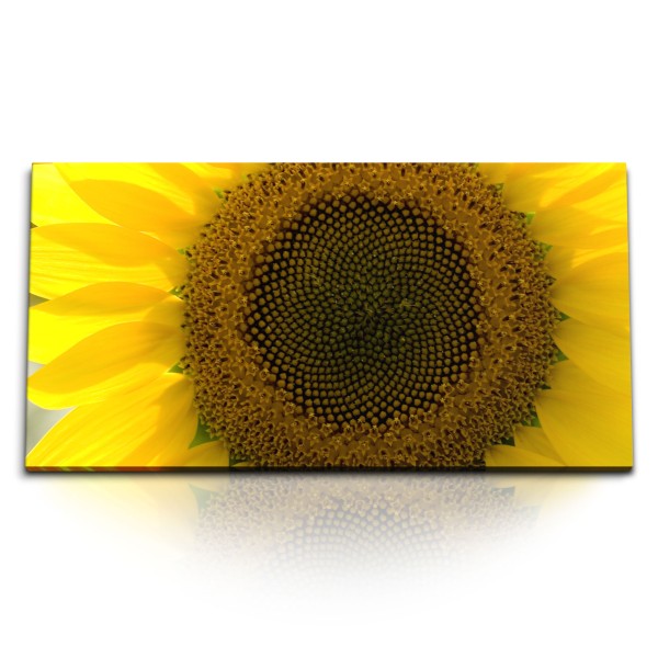 Paul Sinus Art Kunstdruck Bilder 120x60cm Sonnenblume Gelb Blüte Blume Sommer Nahaufnahme