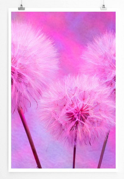 Paul Sinus Art Pusteblume in pinkem Licht 60x90cm Poster