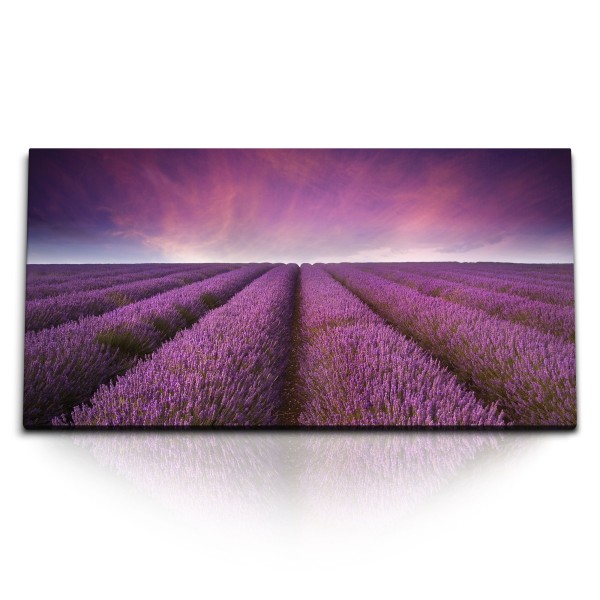 Paul Sinus Art Kunstdruck Bilder 120x60cm Lavendelfeld Lavendel Lila Violett Horizont Himmel