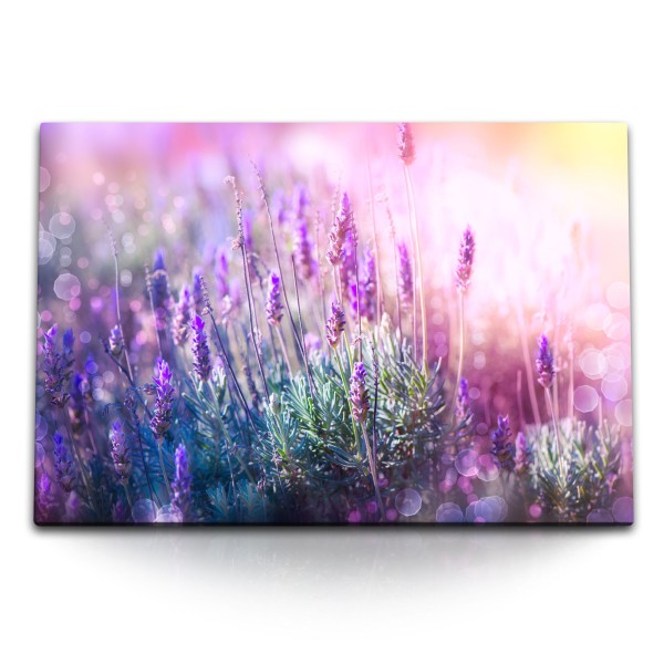 Paul Sinus Art 120x80cm Wandbild auf Leinwand Lavendel Blumen Natur Sonnenschein Sommer