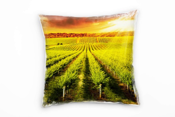 Paul Sinus Art Landschaften, Felder, Plantagen grün, Sonnenstrahlen Deko Kissen 40x40cm für Couch Sofa Lounge Zierk