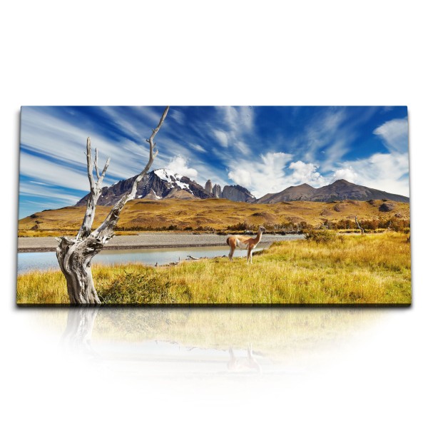 Paul Sinus Art Kunstdruck Bilder 120x60cm Patagonia Chile Landschaft Lama Berge blauer Himmel