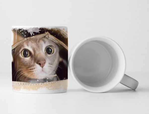 Paul Sinus Art Tasse Geschenk Tierfotografie - Katze spielt in einem Karton