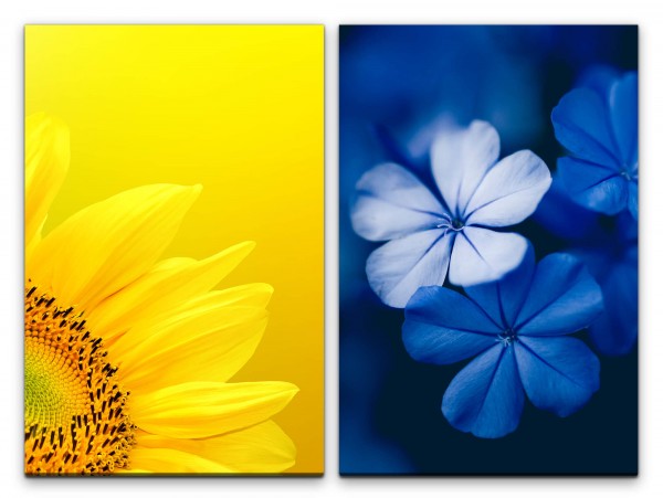 Paul Sinus Art 2 Bilder je 60x90cm Sonnenblume Blumen Gelb Blau Makro Frisch Sommer