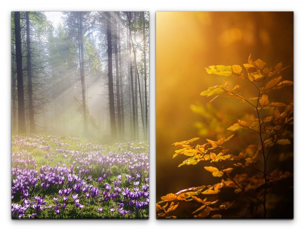 Paul Sinus Art 2 Bilder je 60x90cm Waldwiese Wald Hein Lichtstrahlen Blätter Natur Ruhe