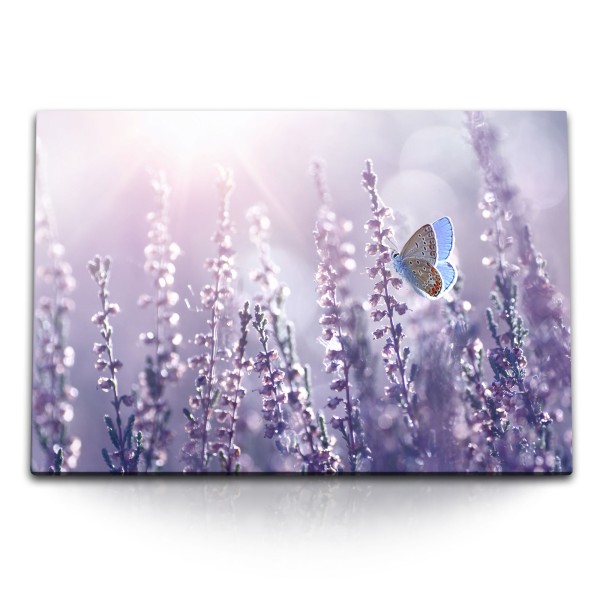 Paul Sinus Art 120x80cm Wandbild auf Leinwand Sonnenschein Lavendel Schmetterling Natur Blumen