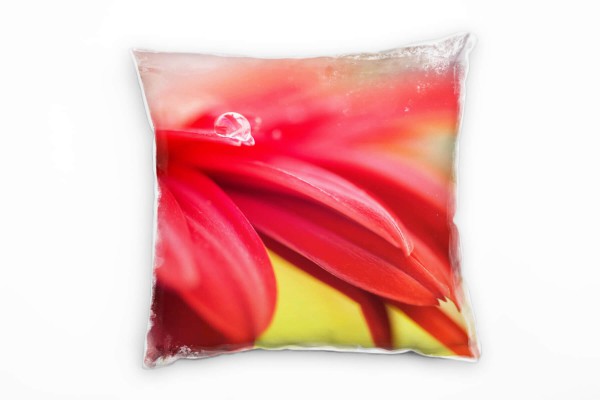 Paul Sinus Art Macro, Blumen, Blütenblätter, rot, gelb Deko Kissen 40x40cm für Couch Sofa Lounge Zierkissen