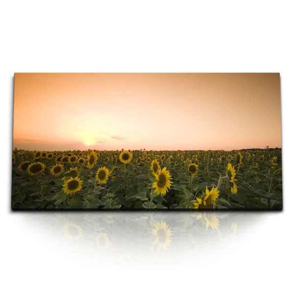 Paul Sinus Art Kunstdruck Bilder 120x60cm Sonnenblumen Sonnenblumenfeld Horizont Abendröte