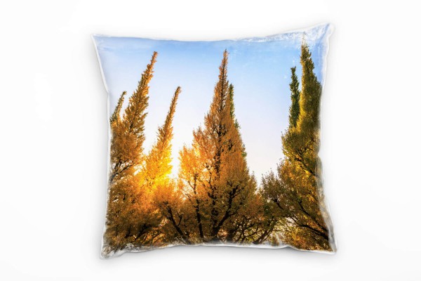 Paul Sinus Art Herbst, Sonnenschein, Laubbäume, gelb, blau Deko Kissen 40x40cm für Couch Sofa Lounge Zierkissen