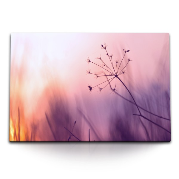 Paul Sinus Art 120x80cm Wandbild auf Leinwand Sonnenuntergang Natur Gewächs Rosa Blumen