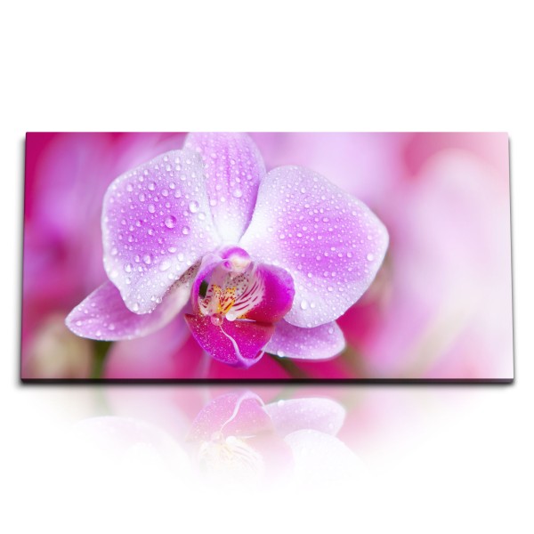 Paul Sinus Art Kunstdruck Bilder 120x60cm Orchidee Blume Blüte Wassertropfen Kunstvoll Fotokunst