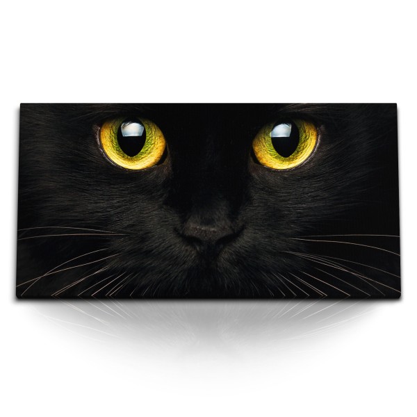 Paul Sinus Art Kunstdruck Bilder 120x60cm Schwarze Katze grüne Katzenaugen Hauskatze Tierfotografie