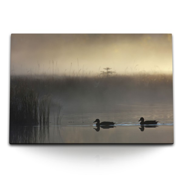 Paul Sinus Art 120x80cm Wandbild auf Leinwand Enten See Teich Ententeich Morgentau Nebel Natur