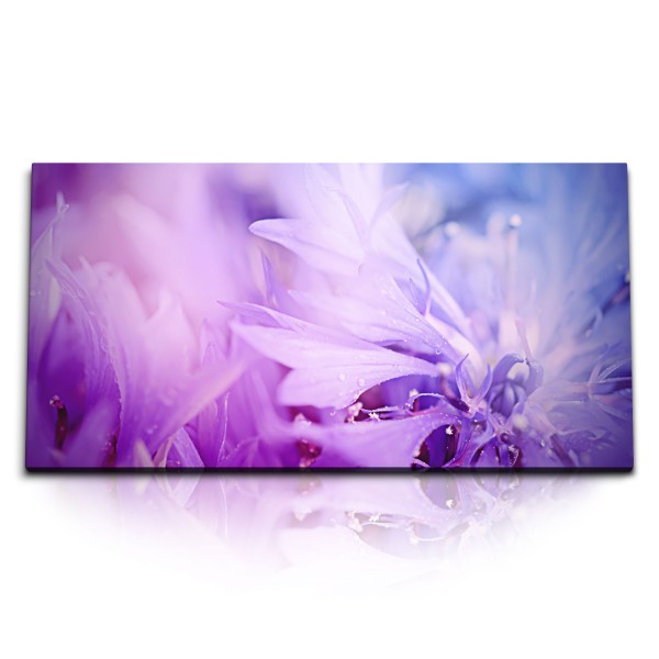 Paul Sinus Art Kunstdruck Bilder 120x60cm Blumen Blüten Fotokunst Violett Regentropfen Kunstvoll