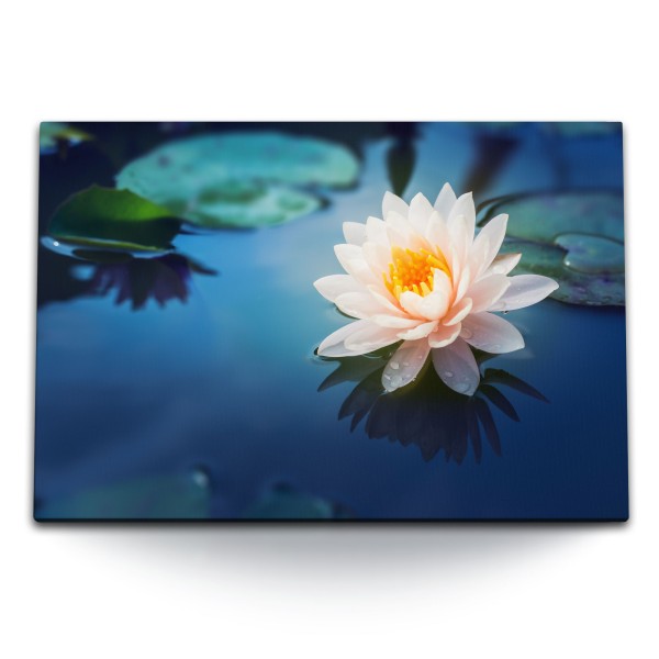 Paul Sinus Art 120x80cm Wandbild auf Leinwand Wasserblume Lotus Lotusblüte Teich weiße Blume