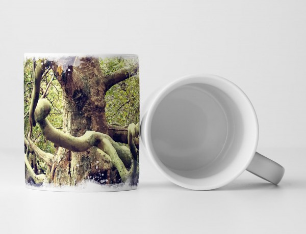 Paul Sinus Art Tasse Geschenk Naturfotografie – Alter Ahornbaum