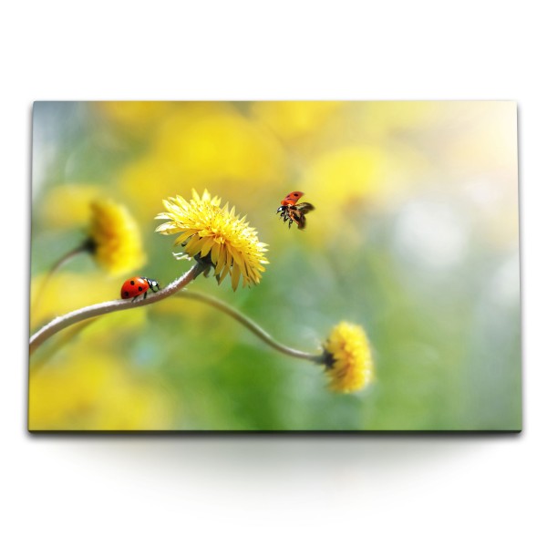 Paul Sinus Art 120x80cm Wandbild auf Leinwand Löwenzahn Marienkäfer gelbe Blume Frühling Natur