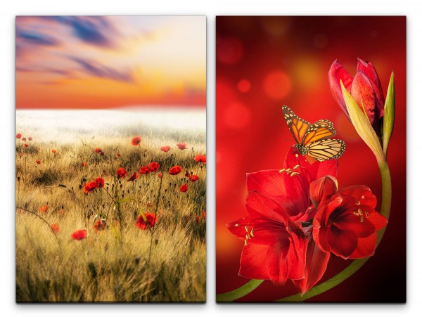 Paul Sinus Art 2 Bilder je 60x90cm Sommerfeld Mohnblumen Schmetterling Rot Blumen Himmel Sommer