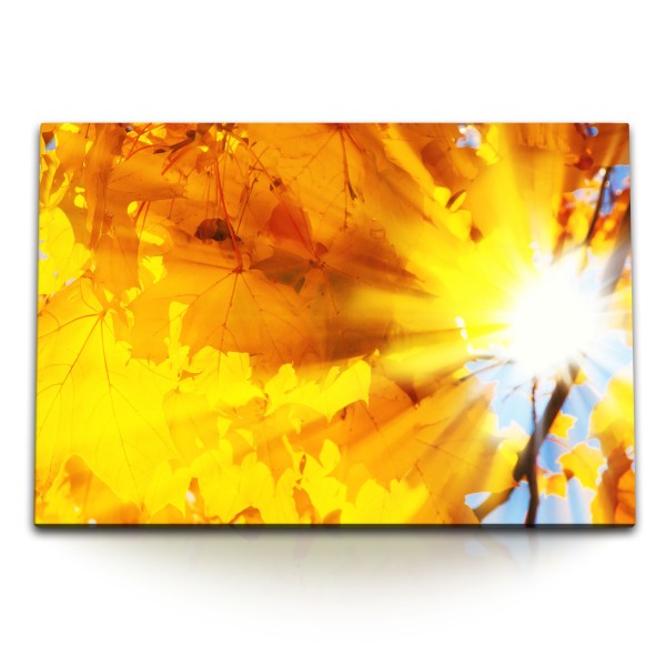 Paul Sinus Art 120x80cm Wandbild auf Leinwand Herbstblätter Sonnenstrahl Herbst Baum