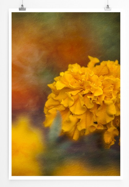 Paul Sinus Art 90x60cm Poster Naturfotografie Orange Ringelblumen