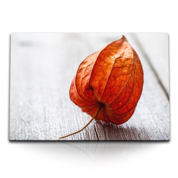 Paul Sinus Art 120x80cm Wandbild auf Leinwand Physalis Frucht Fotokunst Nahaufnahme Rot