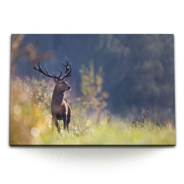 Paul Sinus Art 120x80cm Wandbild auf Leinwand Hirsch Hirschgeweih Natur Tierfotografie Waldrand