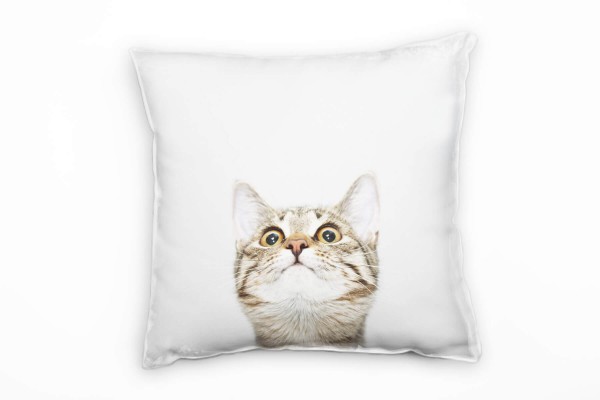 Paul Sinus Art Tiere, Katze, grau, beige Deko Kissen 40x40cm für Couch Sofa Lounge Zierkissen