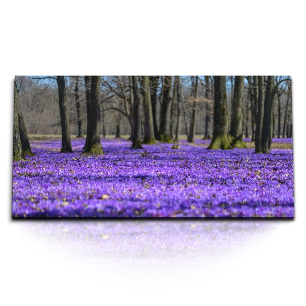 Paul Sinus Art Kunstdruck Bilder 120x60cm Violette Blüten Blumen Natur Bäume