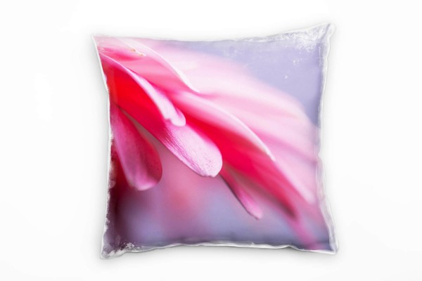 Paul Sinus Art Macro, Blumen, Blütenblätter, pink, lila Deko Kissen 40x40cm für Couch Sofa Lounge Zierkissen