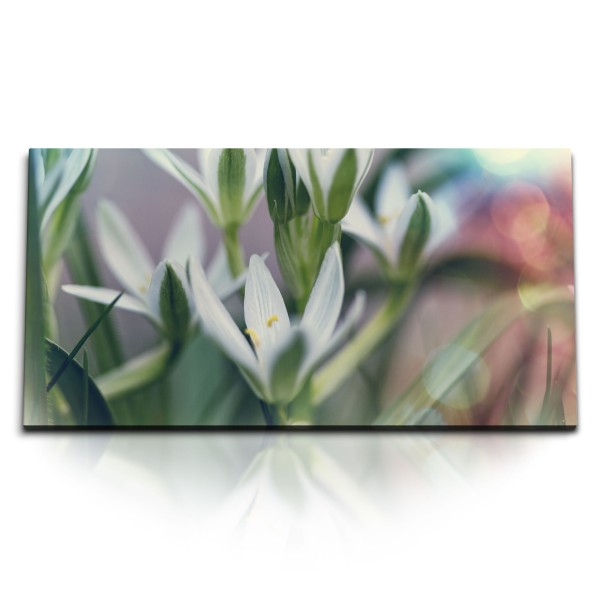 Paul Sinus Art Kunstdruck Bilder 120x60cm Blumen Pflanzen Sommerblüte Grün Natur