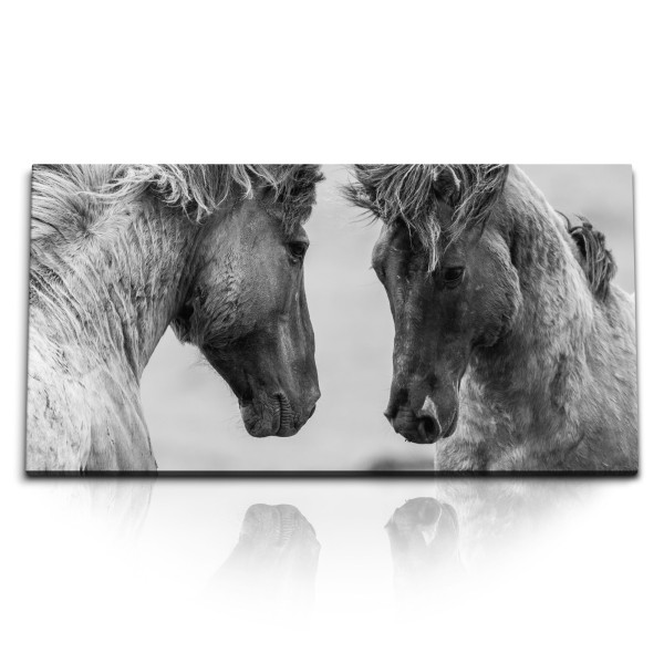 Paul Sinus Art Kunstdruck Bilder 120x60cm Zwei Wildpferde Tierfotografie Pferde Grau