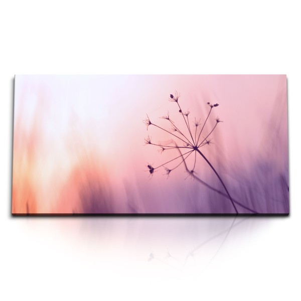 Paul Sinus Art Kunstdruck Bilder 120x60cm Sonnenuntergang Natur Gewächs Rosa Blumen