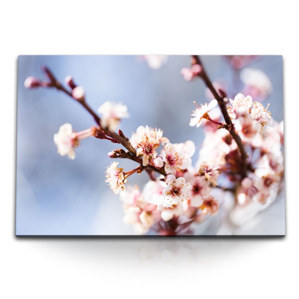 120x80cm Wandbild auf Leinwand Frühling Baumblüte Kirschblüte Blüten Zweige Natur