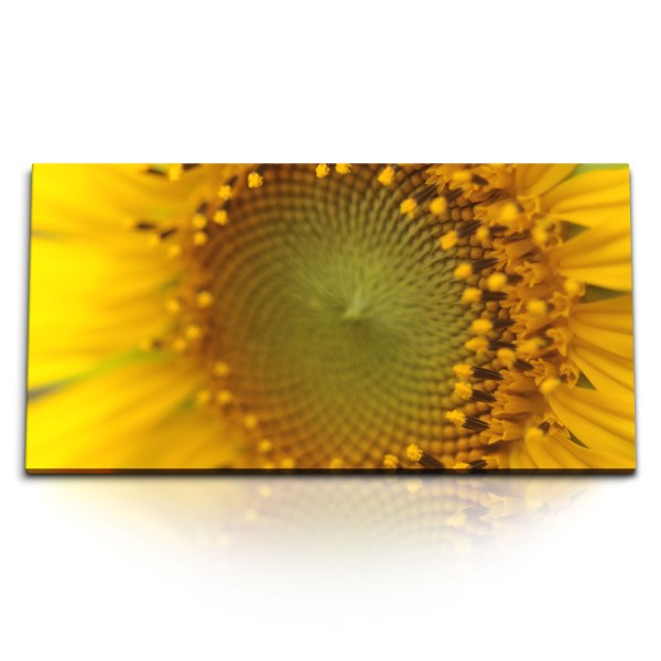 Paul Sinus Art Kunstdruck Bilder 120x60cm Sonnenblume gelbe Blume Natur Nahaufnahme Sommer