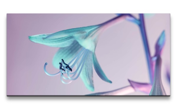 Paul Sinus Art Leinwandbild 120x60cm Schöne Blume Blüte Fotokunst Makrofotografie Wunderschön