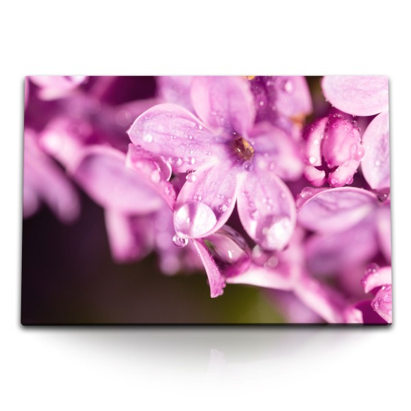 Paul Sinus Art 120x80cm Wandbild auf Leinwand Rosa Blüten Blumen Regentropfen Makrofotografie