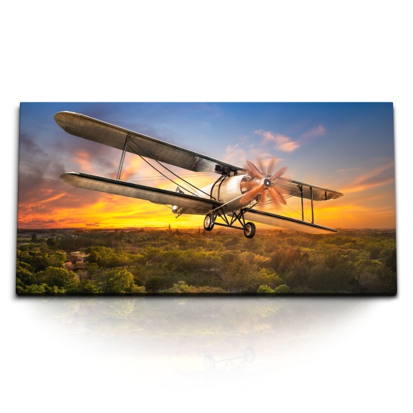 Paul Sinus Art Kunstdruck Bilder 120x60cm Propellerflugzeug Flugzeug Dschungel Sonnenuntergang