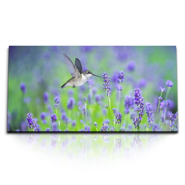 Paul Sinus Art Kunstdruck Bilder 120x60cm Lavendel Blumen Blumenwiese Kolibri kleiner Vogel