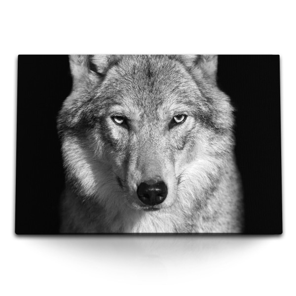 Paul Sinus Art 120x80cm Wandbild auf Leinwand Wolf Porträt Tierfotografie Schwarz Weiß schwarzer Hintergrund