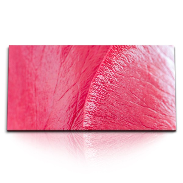 Paul Sinus Art Kunstdruck Bilder 120x60cm Rosa Blüte Nahaufnahme Blume Makrofotografie