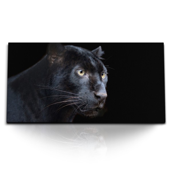 Paul Sinus Art Kunstdruck Bilder 120x60cm Schwarzer Panther Raubkatze Tierfotografie Puma