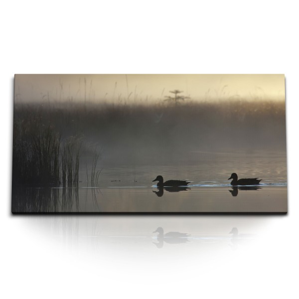 Paul Sinus Art Kunstdruck Bilder 120x60cm Enten See Teich Ententeich Morgentau Nebel Natur