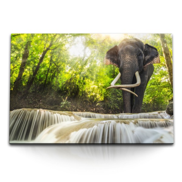 Paul Sinus Art 120x80cm Wandbild auf Leinwand Elefant Thailand Wasserfall Grün Natur Dschungel