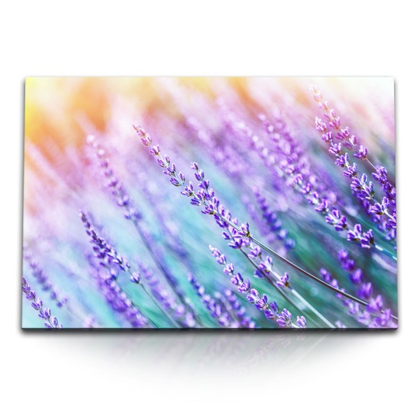 120x80cm Wandbild auf Leinwand Lavendel Lavendelfeld Blau Natur Blumen