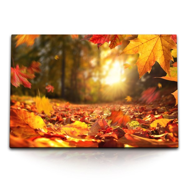 Paul Sinus Art 120x80cm Wandbild auf Leinwand Herbst Herbstblätter Sonnenschein Wald Natur