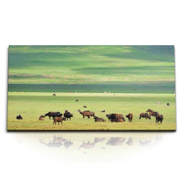 Paul Sinus Art Kunstdruck Bilder 120x60cm Büffelherde Büffel Natur Tierfotografie Natur Landschaft