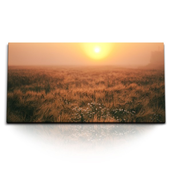 Paul Sinus Art Kunstdruck Bilder 120x60cm Sonnenuntergang Weizenfeld Abendrot Feld Natur