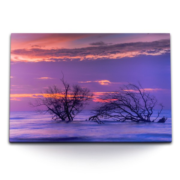 Paul Sinus Art 120x80cm Wandbild auf Leinwand Bäume im Wasser Meer Sonnenuntergang rosa Himmel