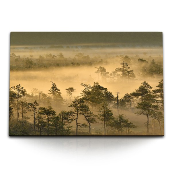 Paul Sinus Art 120x80cm Wandbild auf Leinwand Wald Morgentau Nebel Bäume Natur Braun